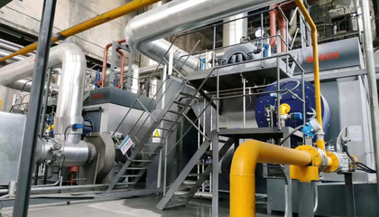 安徽佳通輪胎25噸蒸汽鍋爐燃燒器低氮改造項(xiàng)目