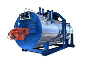 燃油燃氣兩用鍋爐 wns1 1.25 y q