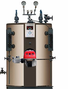 如何選購優(yōu)質蒸汽鍋爐 關鍵要素與推薦產地